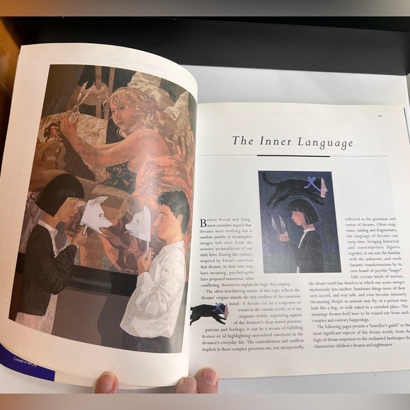 The Secret Language of DREAMS a visual key & their meanings softcover book - Picture 5 of 8